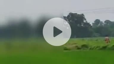 प्रतापगढ़: प्रतापगढ़ जनपद के एक गांव की किशोरी के साथ सामूहिक दुष्कर्म की जांच में जुटी पुलिस