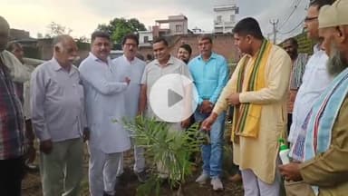 जगाधरी: ग्राम पंचायत प्रतापनगर में पौधारोपण कार्यक्रम का आयोजन किया गया