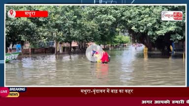 यमुना खतरे के निशान से ऊपर: मथुरा-वृंदावन में हर ओर पानी ही पानी, ज्ञान गुदड़ी और रमनरेती आश्रम भी पानी की चपेट में

#मथुरा #यमुना #रामनरेति #वृंदावन #पानी