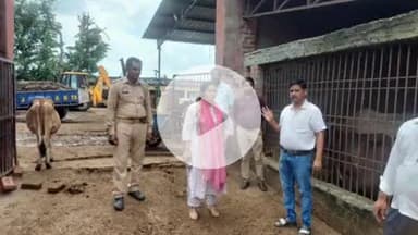 बीसलपुर: देवीपुरा गौशाला पहुंची तहसीलदार ने व्यवस्थाओं का निरीक्षण किया, डीएम को भेजी रिपोर्ट