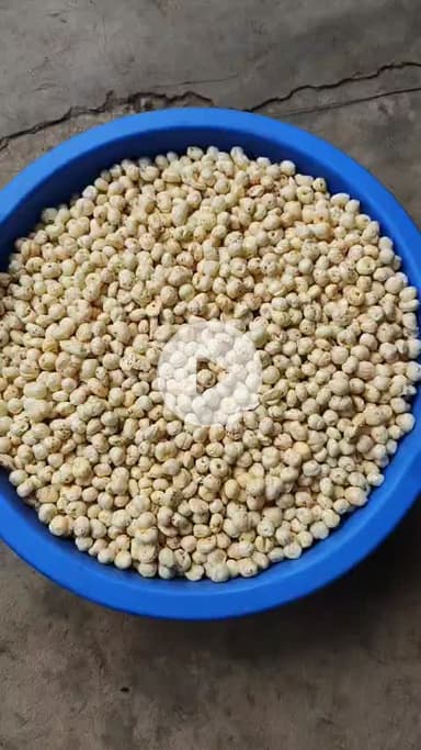 सस्ते दामों पर होलसेल मखाना – खेतीका चैनल से जुड़ें