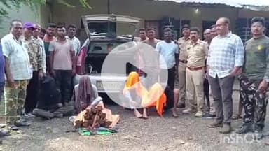 समुद्रपूर: मोहगांव जंगलातून चंदनाची तस्करी करण्याचा प्रयत्न करणाऱ्या ६ आरोपींना ८ सप्टेंबरपर्यंत एफसीआर; वनविभाकडून कसुन चौकशी सुरू