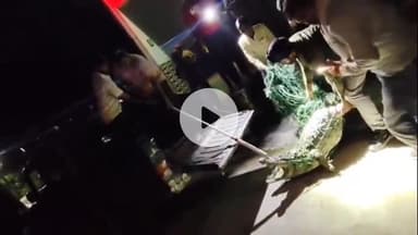 लक्सर: कंकर खाता गांव में देर रात घर में घुसा मगरमच्छ, वन विभाग की टीम ने किया सफल रेस्क्यू