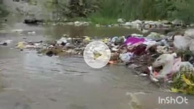 भीलवाड़ा: भीलवाड़ा में लगातार बारिश के बाद शहर में चारों ओर पानी ही पानी, कई मकानों में भरा पानी, कोठारी नदी पुलिया पर सांड