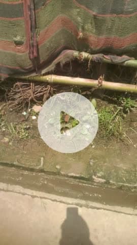 जय राम बारी हो रहा प्रधान यहां की कोई सुनाई नहीं कर रहा##@@@##