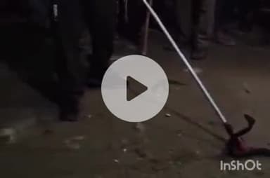 हरिद्वार: जमालपुर कलां में घर में घुसा कोबरा, मची अफरातफरी, मौके पर वन विभाग ने किया रेस्क्यू