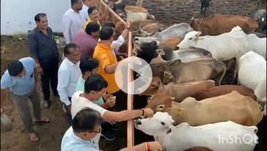 चूरू: चूरू में भाजपा पूर्व प्रदेशाध्यक्ष महेश जोशी का जन्मदिन मनाया, भाजपा कार्यकर्ताओं ने किया जश्न