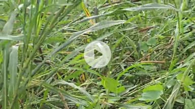 गडरारोड: बाड़मेर जिले में 2 दिन से लगातार तेज बारिश और हवाओं का कहर, किसानों की फसलों को हुआ भारी नुकसान