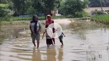 थानेसर: कुरुक्षेत्र: तंगोर और झरौली में जलमग्न हुए खेत व सड़कें, गांवों का संपर्क टूटा, ग्रामीण परेशान