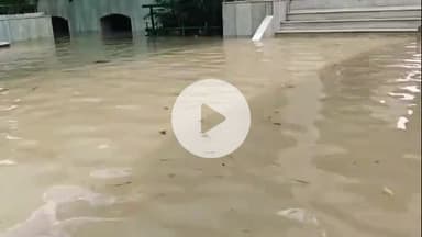 मथुरा: वृंदावन में माता कात्यायनी का मंदिर बाढ़ के पानी में डूबा