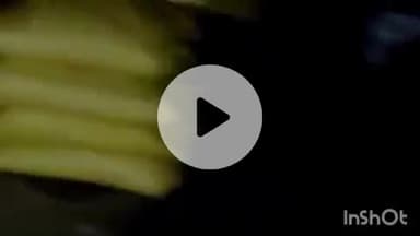 टेकनपुर स्थित खाद गोदाम पर कालाबाजारी की शिकायत मिलने पर तहसीलदार ने दुकान को किया सील