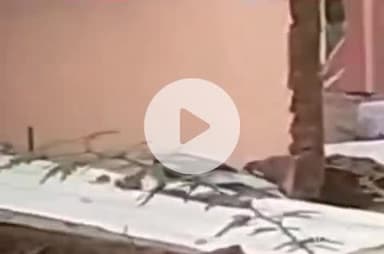 देसूरी: देसूरी में 1260 एमएम बारिश ने तोड़ा रिकॉर्ड, क्षेत्र में छाई हरियाली, नदी देखने के लिए उमड़े ग्रामीण