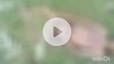 अरवल: नाले में डूबने से युवक की मौत, शव का सदर अस्पताल में हुआ पोस्टमार्टम