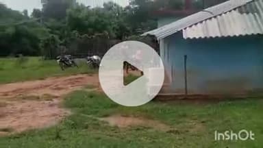 ब्यौहारी: ब्यौहारी के भोलहरी गांव में ज़मीनी विवाद, पुलिस में शिकायत दर्ज