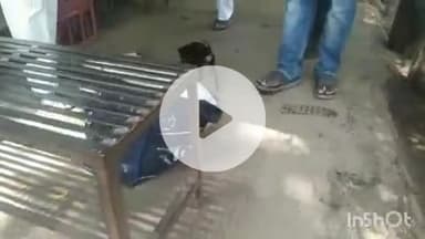 औरैया: ग्राम राहतपुर निवासी व्यक्ति पर ठगी का आरोप, रोड व्हीलर निकले देसी कुत्ते, खरीदार ने पुलिस से लगाई गुहार