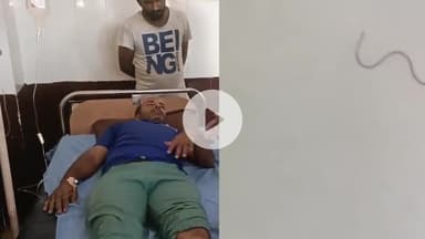 मथुरा: गांव हसनपुर में खेत पर जा रहे किसान को जहरीले सांप ने काटा, गंभीर हालत में किसान को अस्पताल में कराया गया भर्ती