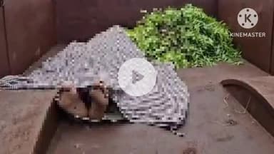 बटियागढ़: खुटयानी गांव में एक व्यक्ति ने फांसी लगाकर आत्महत्या की, कारण अज्ञात, रजपुरा थाना क्षेत्र में घटना