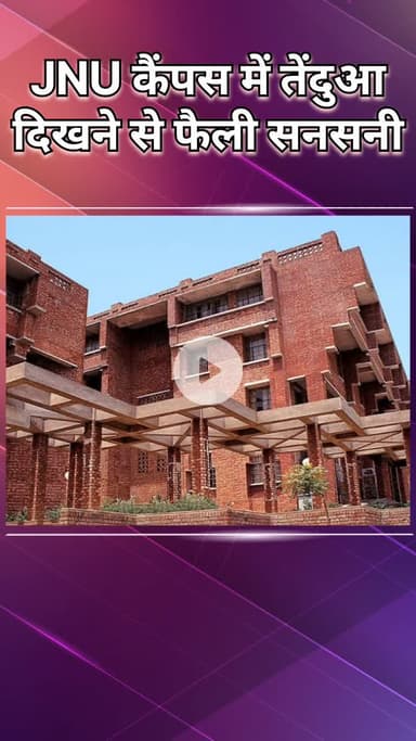 महरौली: जेएनयू कैंपस में तेंदुआ देखे जाने से छात्रों में दहशत, वन विभाग की टीम ने मौके पर पहुंच कर की पैरों की जांच