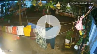 झांसी: पारीछा स्टेशन रोड पर ग्राम विकास अधिकारी के घर में घुसे हथियारबंद 6 चोर, घटना CCTV में कैद, वीडियो हुआ वायरल