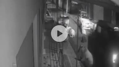 झांसी: पुलिया नंबर-9, सुभाष स्कूल के पास चालक ने गाय के बछड़े पर चढ़ाई, थार गाड़ी से हुई मौत, घटना सीसीटीवी में कैद