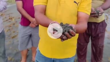 ਅੰਮ੍ਰਿਤਸਰ 2: ਅਜਨਾਲਾ ਇਲਾਕੇ ਦੇ ਵਿੱਚ ਕਿਸਾਨਾਂ ਦੀਆਂ ਖੇਤਾਂ ਦੇ ਵਿੱਚ ਆਈ ਰਾਵੀ ਦਰਿਆ ਦੀ ਰੇਤ