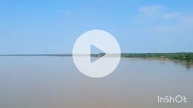 औरैया: शेरगढ़ घाट स्थित यमुना का जलस्तर चेतावनी बिंदु से 21 सेमी ऊपर पहुंचा, हथिनी कुंड से छोड़े गए पानी ने मचाई हलचल