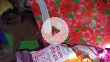 बलरामपुर: गौर रमवापुर में भीख मांगने के बहाने दो औरतें घर में घुसीं, चोरी कर फरार हुईं