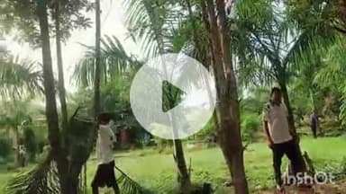 बेमेतरा: बेमेतरा के सहयोग यूथ संस्था के सदस्यों ने शासकीय जिला चिकित्सालय में चलाया स्वच्छता अभियान