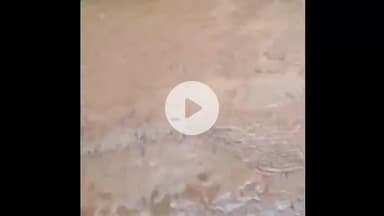 पवई: मूसलाधार बारिश से नगर के घरों में घुसा पानी, नगर परिषद द्वारा पानी निकासी न होने से लोग परेशान