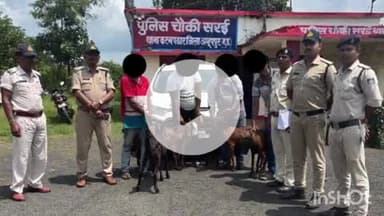 पुष्पराजगढ़: अहिरगवा के जंगल से बकरी चोरी करने वाले आरोपी गिरफ्तार
