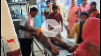 बेगूसराय: मधुमक्खी काटने से युवक की मौत, परिजनों में हड़कंप, पुलिस जांच में जुटी