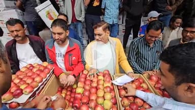 टापरी: किन्नौर के टापरी सब्जी मंडी में 8 दिन बाद सेब की खरीददारी शुरू, सड़क अवरुद्ध के कारण रुकी थी बोली