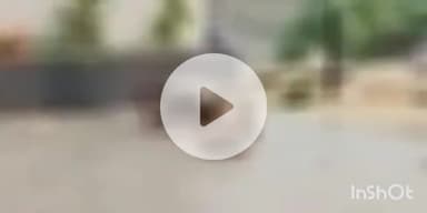 फतुहा: गोविंदपुर स्थित अश्वनी होंडा शोरूम के पास एक वृद्ध का शव मिला