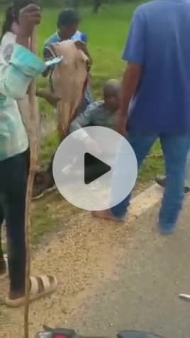 हाट गम्हरिया: टोंटो प्रखण्ड आज दिनांक 08/09/2025 को दोहपर 12:30 बजे सोमवार बाजार  से आने के कर्म में बड़ा मृगलिण्डी बाई गोलाई में