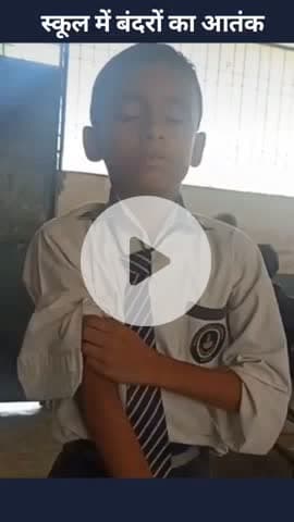 मोहनलालगंज: निगोहां में स्कूल में बंदरों का आतंक, बच्चों की सुरक्षा पर संकट