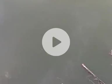 #socailmedia
#samriddhi Puram 
#Fateh Kheda 
#sarkari school ke pass 
#public app