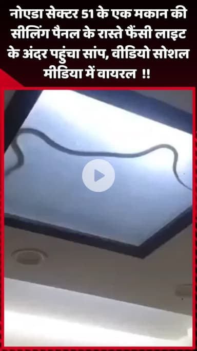 दादरी: नोएडा सेक्टर 51 के एक मकान की सीलिंग पैनल के रास्ते फैंसी लाइट के अंदर पहुंचा सांप, वीडियो सोशल मीडिया पर वायरल