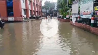 बेगूसराय: बेगूसराय में हल्की बारिश से सदस ताल में जलभराव, लोगों को आने-जाने में हो रही है परेशानी