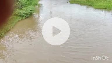 धौलपुर: कीचड़ और जलभराव की समस्या को लेकर सौंपा ज्ञापन