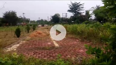 सिंगरौली: सिंगरौली कलेक्ट्रेट के सामने पार्कों में खरपतवार, गार्डन से श्रृंगी ऋषि की मूर्ति गायब, सफाई नहीं होने से उगी घास