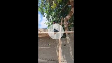 झांसी: रक्सा में दीवार को सरकारी बताकर लड़की ने उखाड़ी ईंट, सोशल मीडिया पर वीडियो हो रहा वायरल