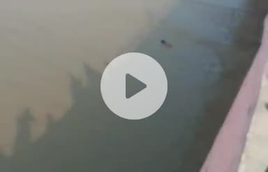 रूड़की: नगर निगम के पुल के पास गंगनहर में डूब रहा युवक, मोनू जलवीर ने जान पर खेलकर बचाई युवक की जान, वीडियो वायरल