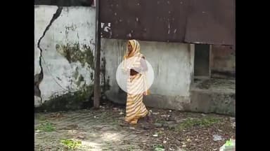 मंझनपुर: मंझनपुर में बंदरों का आतंक, जिला पंचायत परिसर में महिला के हाथ से छीना आधार कार्ड