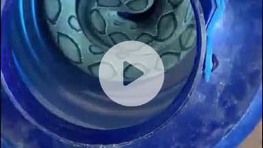 असरगंज: कांवरीया पथ शाहकुंड मोड़ के पास मिला दुर्लभ रशैल वाइपर सांप, वन विभाग ने किया रेस्क्यू