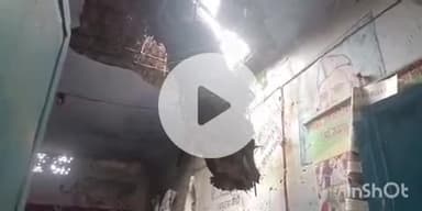 फतुहा: सुरगा गांव के प्राथमिक विद्यालय पर दो महीने पहले गिरा पेड़, वन विभाग की लापरवाही से नहीं हटा।