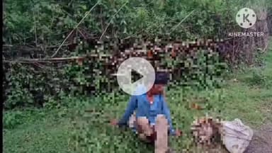 बटियागढ़: दर्रा टोला में मवेशी से टकराकर बाइक सवार हुए घायल, 2 लोग 108 एम्बुलेंस से अस्पताल भेजे गए