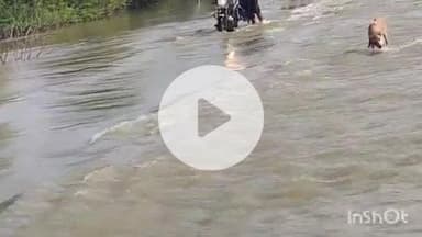 मेड़ता: मेड़ता सिटी जैतारण सड़क मार्ग पर जसनगर में लूनी नदी से बंद पड़े रास्ते का दौरा किया अतिरिक्त जिला कलेक्टर ने