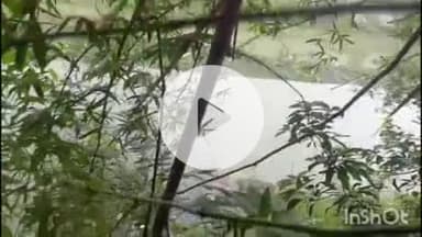 गोरौल: कटरमाला गांव में वाया नदी से मिला अज्ञात शव, गोरौल पुलिस ने पोस्टमार्टम के लिए हाजीपुर भेजा