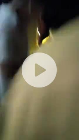 दरिमा मे माशूम बच्चे की हुई तालाब मे डूबने से मौत 
परिजनों का हुआ रो रो कर बुरा हाल