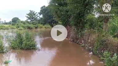 बटियागढ़: आँजनी: नोना टपरिया के पास नाला उफान पर, जलभराव से पुलिया डूबी, आवागमन बाधित